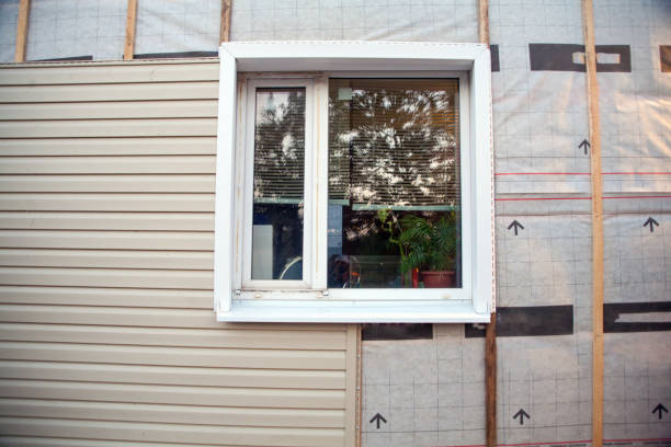 Best Steel Siding Installation  in Neenah, WI