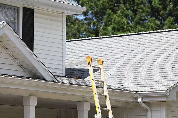 Best Fascia and Soffit Installation  in Neenah, WI